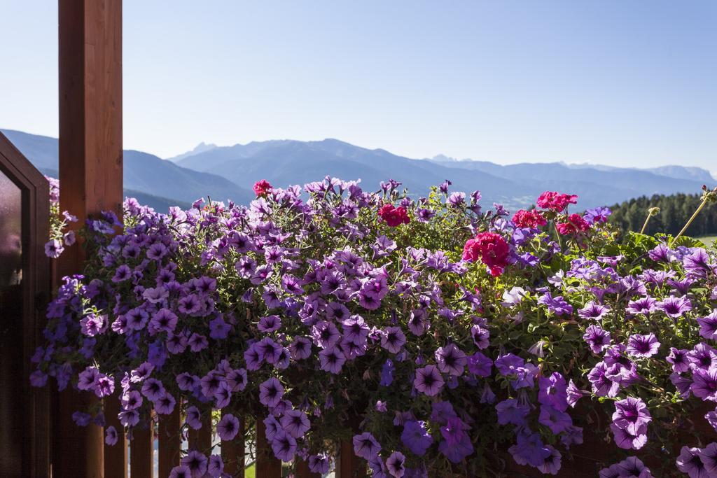 Hotel Bacherhof マランツァ エクステリア 写真